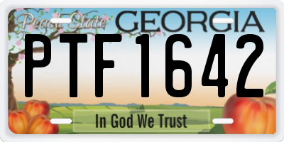 GA license plate PTF1642