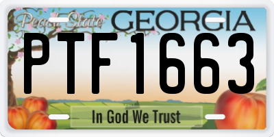 GA license plate PTF1663