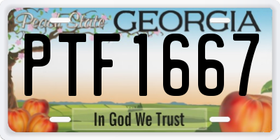 GA license plate PTF1667