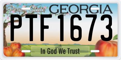 GA license plate PTF1673