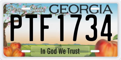 GA license plate PTF1734