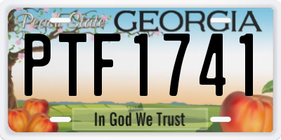 GA license plate PTF1741