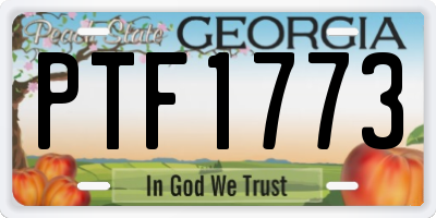 GA license plate PTF1773