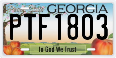 GA license plate PTF1803