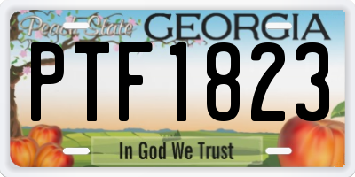 GA license plate PTF1823