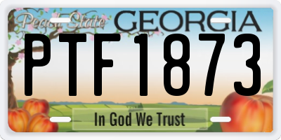GA license plate PTF1873