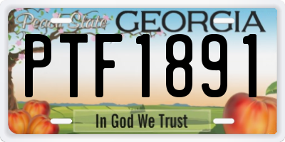 GA license plate PTF1891
