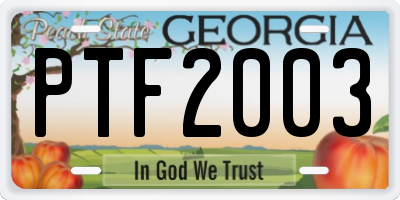 GA license plate PTF2003