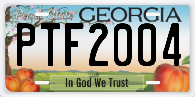 GA license plate PTF2004