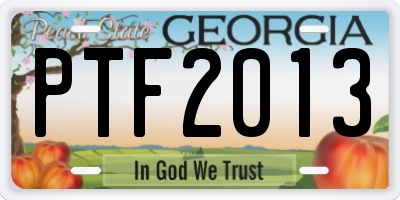 GA license plate PTF2013