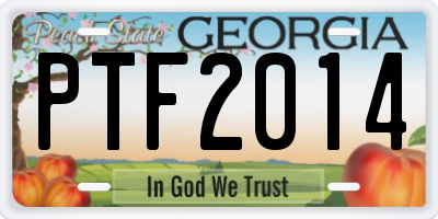 GA license plate PTF2014