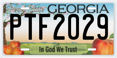 GA license plate PTF2029