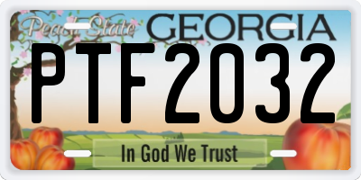 GA license plate PTF2032