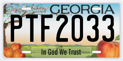 GA license plate PTF2033