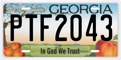 GA license plate PTF2043