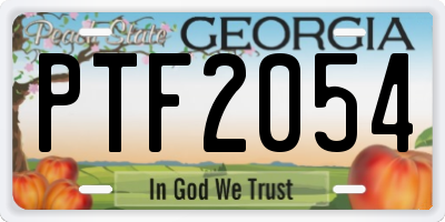 GA license plate PTF2054
