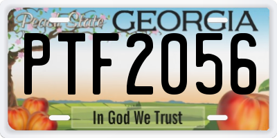GA license plate PTF2056