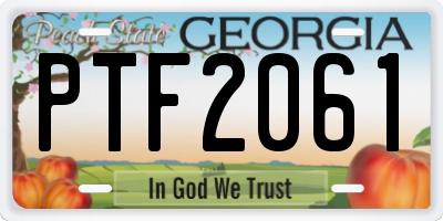 GA license plate PTF2061