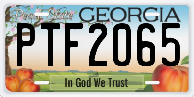 GA license plate PTF2065