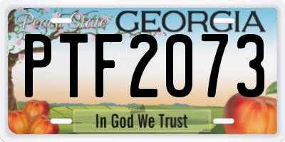 GA license plate PTF2073