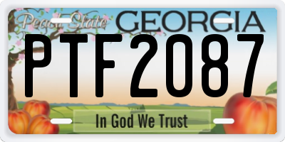 GA license plate PTF2087
