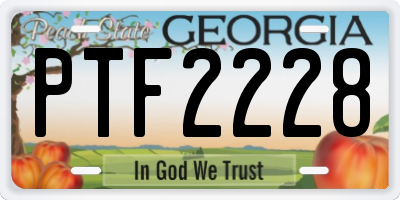 GA license plate PTF2228