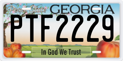 GA license plate PTF2229