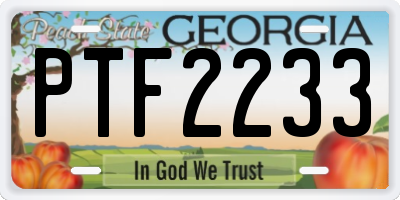 GA license plate PTF2233