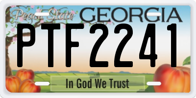 GA license plate PTF2241