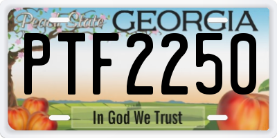 GA license plate PTF2250