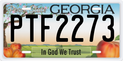 GA license plate PTF2273