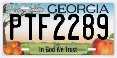 GA license plate PTF2289