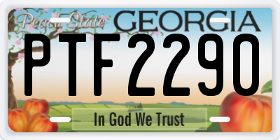 GA license plate PTF2290