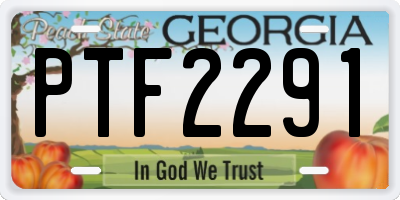 GA license plate PTF2291