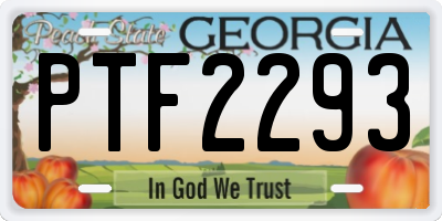 GA license plate PTF2293