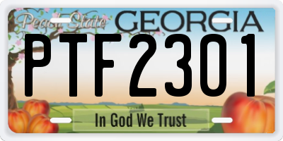 GA license plate PTF2301