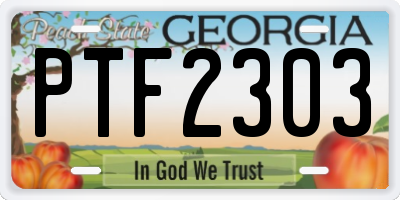 GA license plate PTF2303