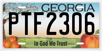 GA license plate PTF2306