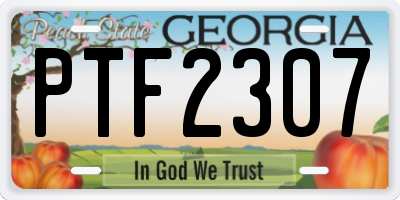 GA license plate PTF2307