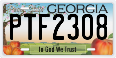 GA license plate PTF2308