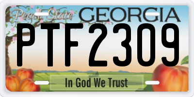 GA license plate PTF2309
