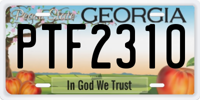 GA license plate PTF2310