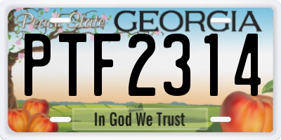 GA license plate PTF2314