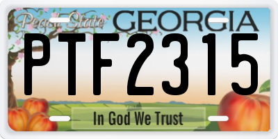 GA license plate PTF2315