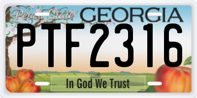 GA license plate PTF2316