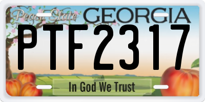 GA license plate PTF2317