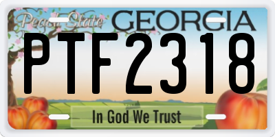 GA license plate PTF2318