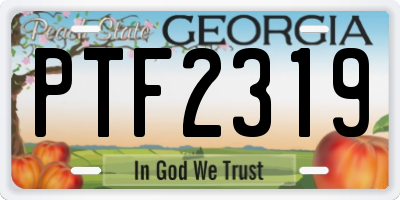 GA license plate PTF2319