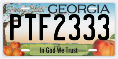 GA license plate PTF2333