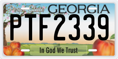 GA license plate PTF2339